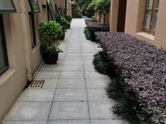 -嘉善老市