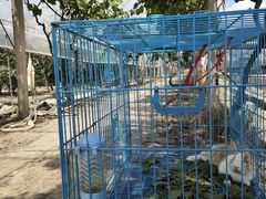 -美家乐农庄·露营·团建(大治路店)