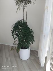 -HEYAN荷妍专业脱毛连锁机构