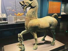 -广西壮族自治区博物馆