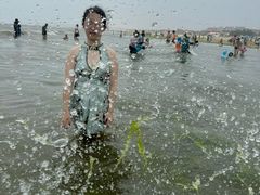 -日照海滨国家森林公园