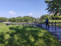 -眉山湿地公园(东坡区)
