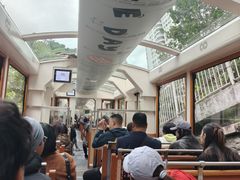 -山顶缆车