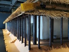 -盘龙城国家考古遗址公园