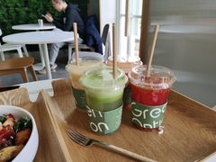 易燃易爆炸-Green Option(官舍店)