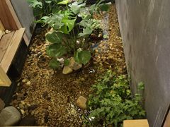 -邈墨茶馆(凤起路店)