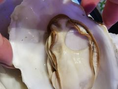 -千岛蚝高压锅生蚝·人参火锅(白云万达店)