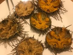 -海胆小馆(东北水饺·春柳店)