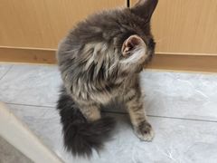 -安安宠医·臻爱宠物医院·宠保定点(营门口路分院)