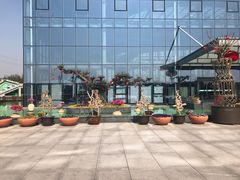 -南通洲际绿博园