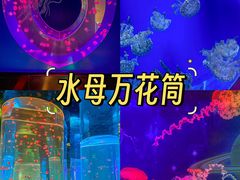 -海合安武汉极地海洋公园