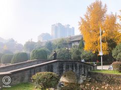 -四川大学(华西校区)