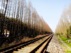 -停车场(临桂路)