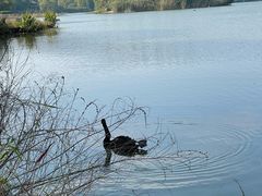 -江南大学(蠡湖校区)