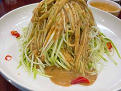 -邵年鸽(杨庄店)