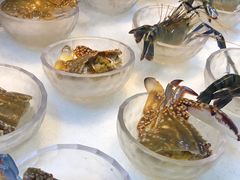 -半岛翡丽海鲜自助餐厅(观风亭店)