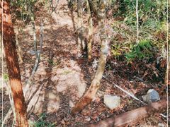 -七娘山