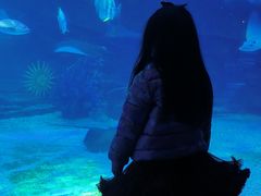 -泉城欧乐堡海洋极地世界