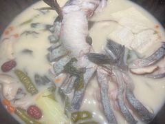 -鲜潭蒸汽石锅鱼(五道口购物中心店)