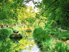 -上海共青森林公园