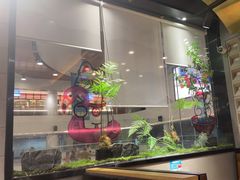 -吉庆莲年有鱼炭烤鱼(苏宁广场店)