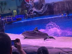 -华夏文旅海洋公园