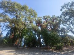 -萨尔浒风景区
