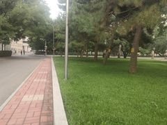 -中央民族大学