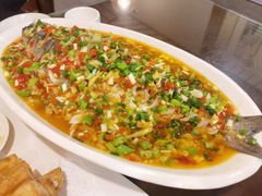 飞虹鱼-飞虹鱼馆(春华路店)