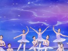 -中央芭蕾舞团·中芭艺蕾(酒仙桥明星校区)