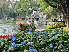 -荔湾湖公园