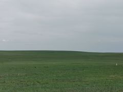 -一群羊手扒肉·火锅·早茶(远东公寓店)