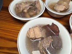 -东莞植物园