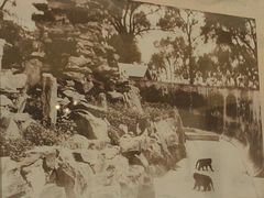 -北京动物园-畅观楼