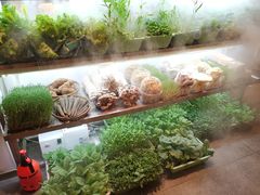 -鲜货俚鲜火锅(青果路店)