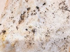 -文叔·湖北名小吃·小龙虾(华强北店)