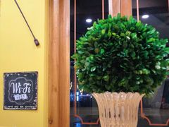 -多克多蒸气茶DOKDO(鼓楼绿地店)