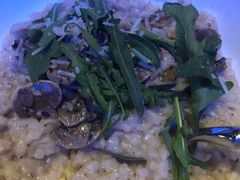-bluefrog蓝蛙(皇庭广场店)