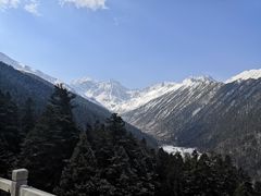 -黄龙山原始森林景区