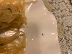 -文三里屯面馆(三里屯店)