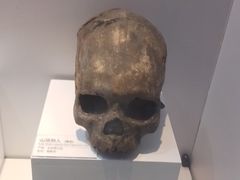 -重庆自然博物馆(新馆)