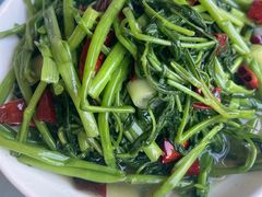 空心菜-良泉足疗
