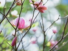 -晓港公园
