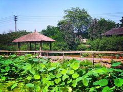 -驿舍·民國老营房院子私房菜(科学会堂店)