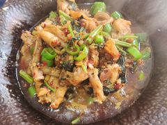 -91小龙虾·香辣蛙(蛇口店)
