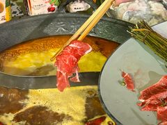 -朱光玉火锅馆(正弘城店)