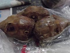 -邓氏兔头