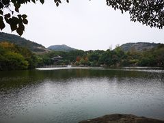 -白马涧龙池景区
