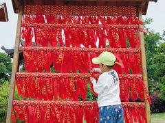 -武汉紫薇都市田园