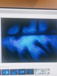 -史云逊养发护发